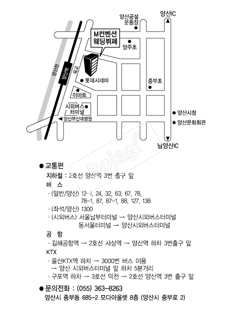 M�����ǿ�������(���) �൵ ���ڱ� ī�� ûø�� 