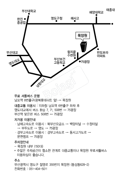 ����� �൵ ���ڱ� ī�� ûø�� 