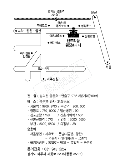 ��Ʈ�������Ȧ �൵ ���ڱ� ī�� ûø�� 