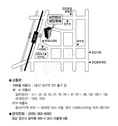 M�����ǿ�������(���) �൵ ���ڱ� ī�� ûø�� 