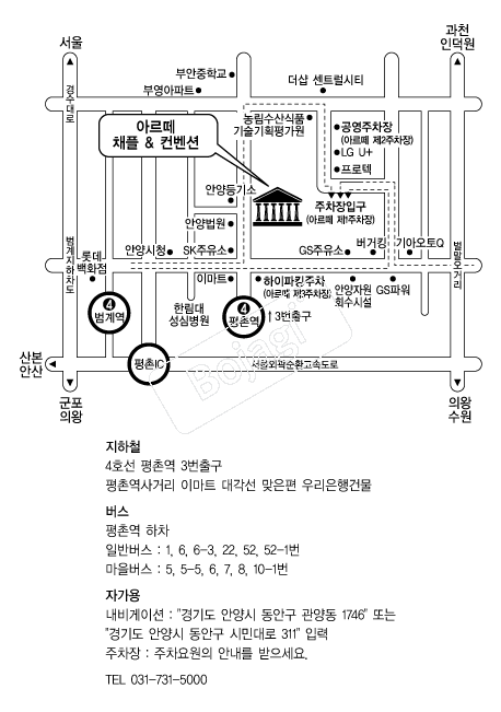 �Ƹ�������Ȧ �൵ ���ڱ� ī�� ûø�� 