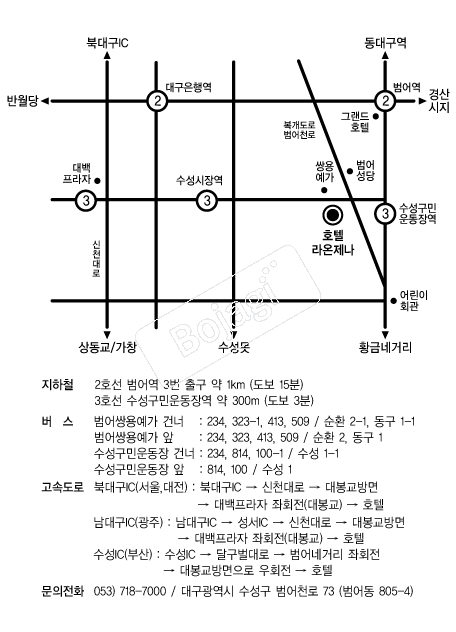 ȣ�ڶ������ �൵ ���ڱ� ī�� ûø�� 
