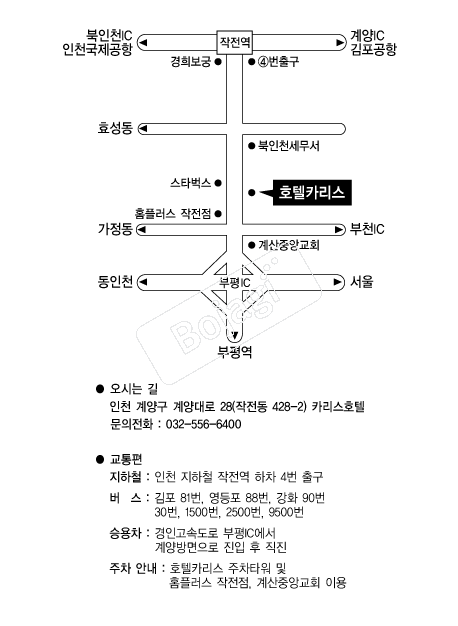 ȣ��ī���� �൵ ���ڱ� ī�� ûø�� 