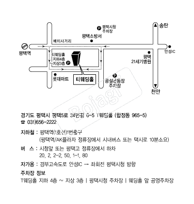 Ƽ����Ȧ �൵ ���ڱ� ī�� ûø�� 