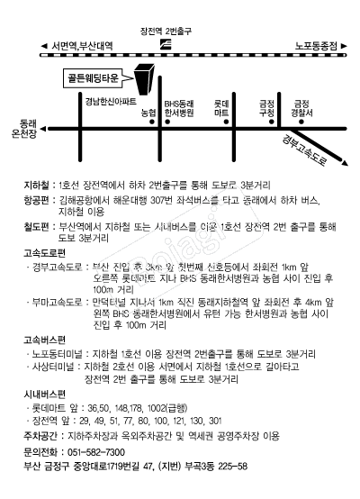 ������Ÿ�� �൵ ���ڱ� ī�� ûø�� 