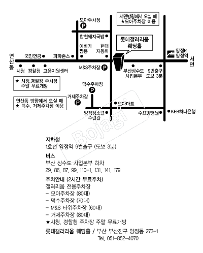 �Ե������������Ȧ �൵ ���ڱ� ī�� ûø�� 