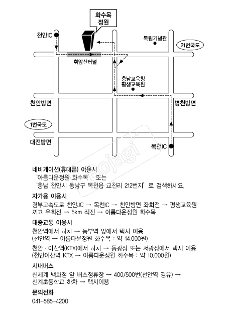 �Ƹ��ٿ�����ȭ����߿����� �൵ ���ڱ� ī�� ûø�� 