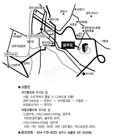 ����� �൵ ���ڱ� ī�� ûø�� 