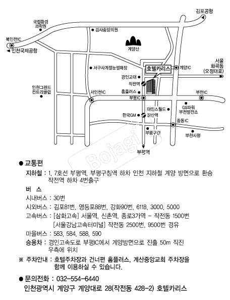 ȣ��ī���� �൵ ���ڱ� ī�� ûø�� 