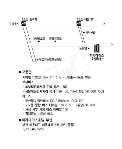 �Ķ���̽�ȣ�ںλ� �൵ ���ڱ� ī�� ûø�� 