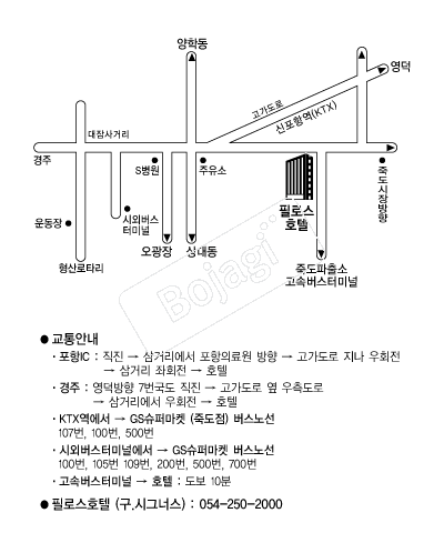 �ʷν�ȣ�� �൵ ���ڱ� ī�� ûø�� 