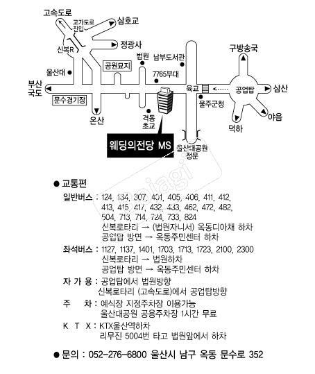 ����������MS �൵ ���ڱ� ī�� ûø�� 