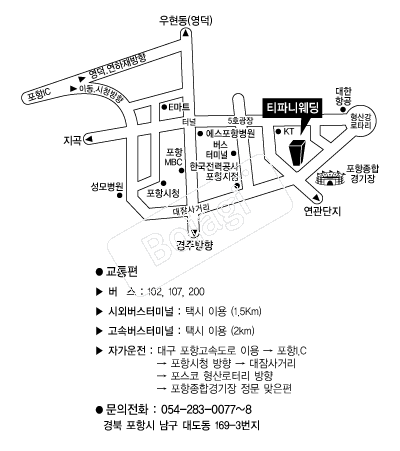 Ƽ�ĴϿ���Ȧ �൵ ���ڱ� ī�� ûø�� 