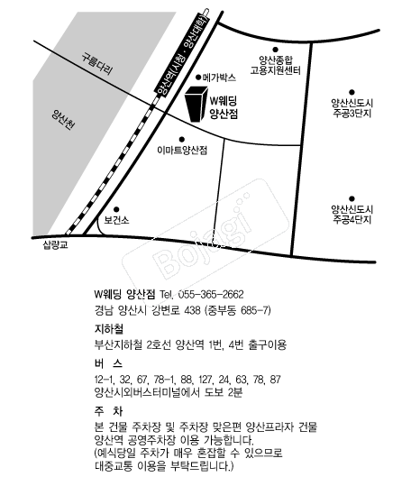 W����Ȧ(���) �൵ ���ڱ� ī�� ûø�� 