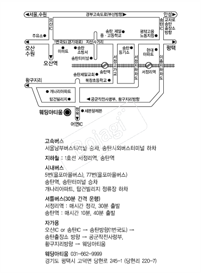 ������Ƽ�� �൵ ���ڱ� ī�� ûø�� 