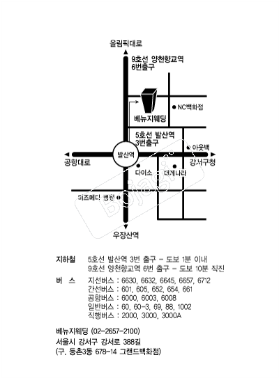 ���������� �൵ ���ڱ� ī�� ûø�� 