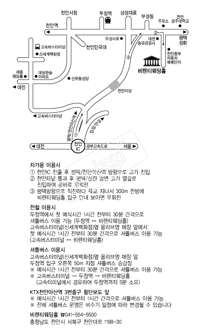 ��Ƽ����Ȧ �൵ ���ڱ� ī�� ûø�� 