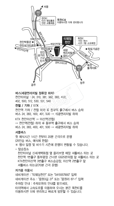 Ƽ����(õ��) �൵ ���ڱ� ī�� ûø�� 