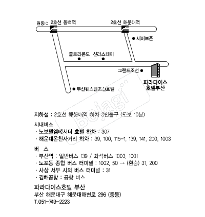 �Ķ���̽�ȣ�ںλ� �൵ ���ڱ� ī�� ûø�� 