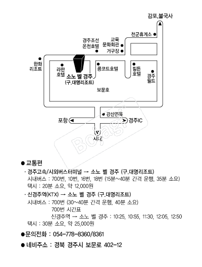 �ҳ뺧���� �൵ ���ڱ� ī�� ûø�� 