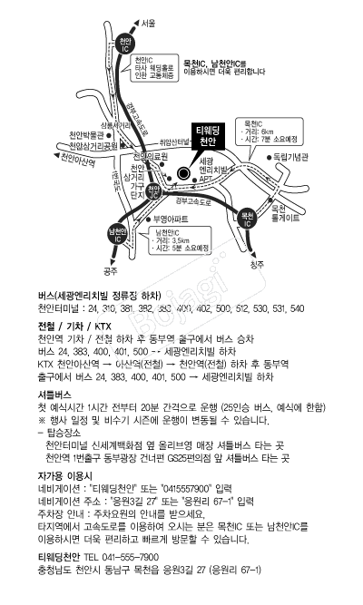 Ƽ����(õ��) �൵ ���ڱ� ī�� ûø�� 