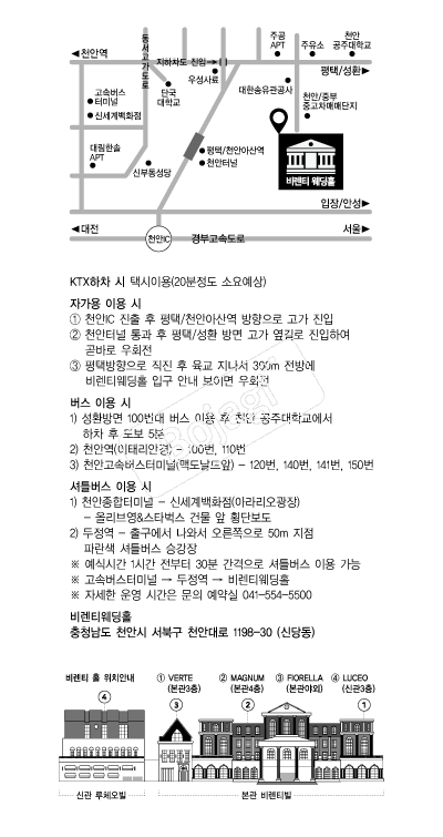 ��Ƽ����Ȧ �൵ ���ڱ� ī�� ûø�� 