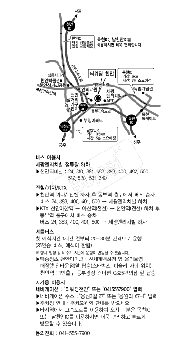 Ƽ����(õ��) �൵ ���ڱ� ī�� ûø�� 