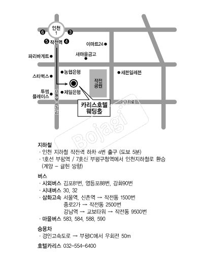 ȣ��ī���� �൵ ���ڱ� ī�� ûø�� 