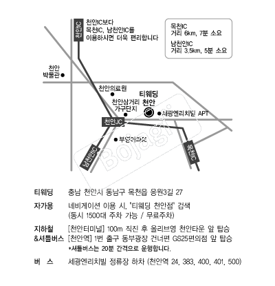 Ƽ����(õ��) �൵ ���ڱ� ī�� ûø�� 