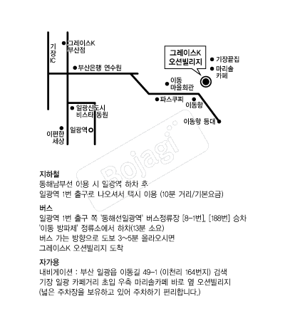 �׷��̽�K���Ǻ����� �൵ ���ڱ� ī�� ûø�� 