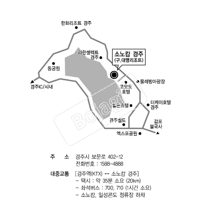 �ҳ�į���� �൵ ���ڱ� ī�� ûø�� 