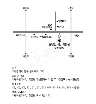 ȣ�ڼ������Ķ���̽�����Ȧ �൵ ���ڱ� ī�� ûø�� 