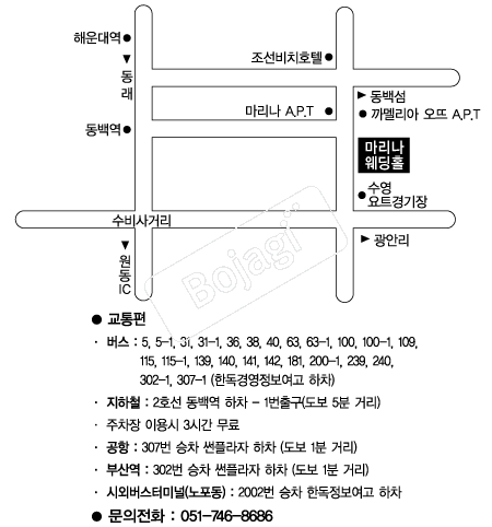 ������Ȧ �൵ ���ڱ� ī�� ûø�� 