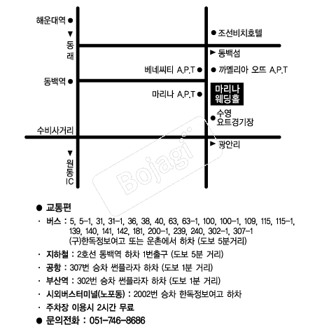 ������Ȧ �൵ ���ڱ� ī�� ûø�� 