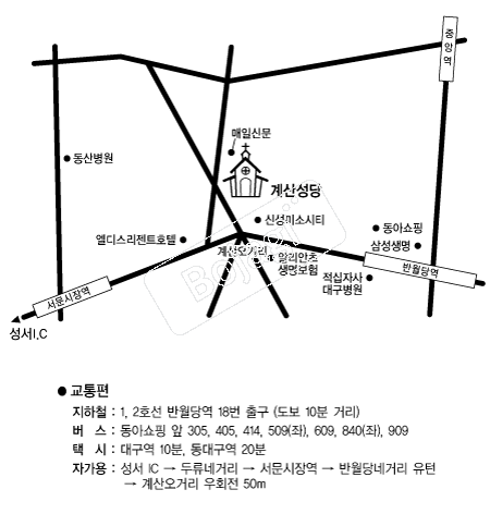 ��꼺�� �൵ ���ڱ� ī�� ûø�� 