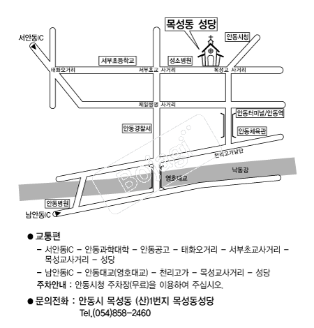 �񼺵��ֱ��¼��� �൵ ���ڱ� ī�� ûø�� 