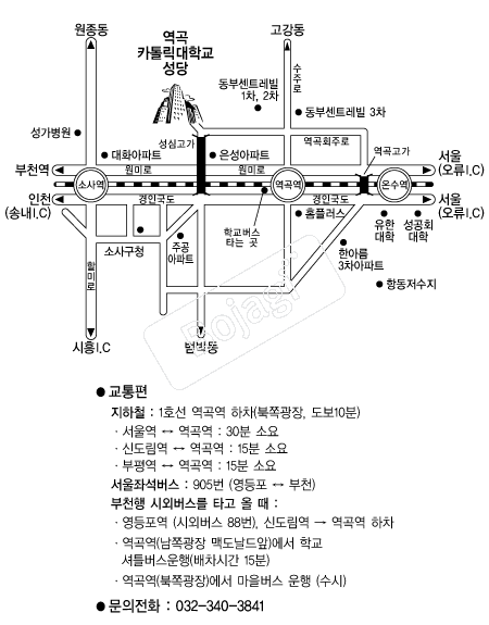 ���縯���б����ɱ�������(����) �൵ ���ڱ� ī�� ûø�� 