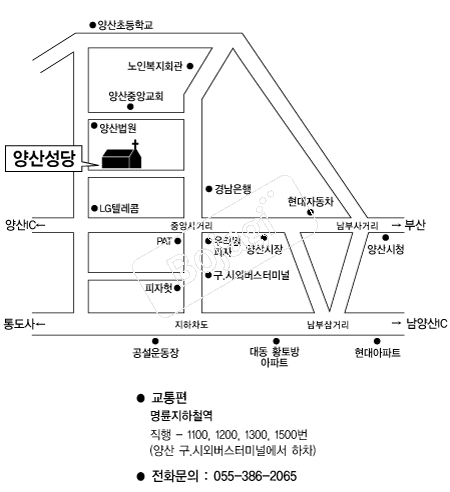 ��꼺�� �൵ ���ڱ� ī�� ûø�� 
