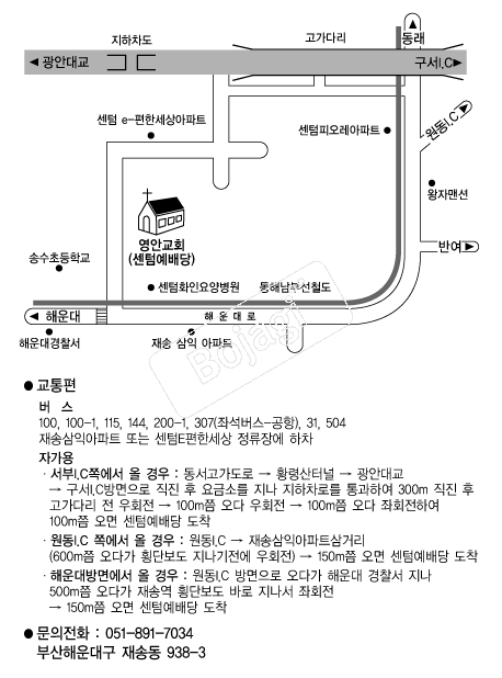 ���ȱ�ȸ �൵ ���ڱ� ī�� ûø�� 