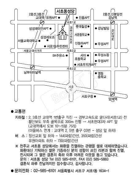 ���ʵ����� �൵ ���ڱ� ī�� ûø�� 