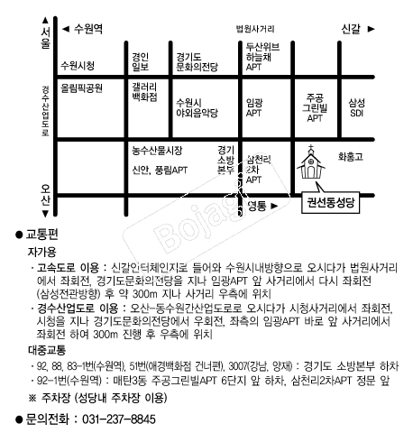 �Ǽ������� �൵ ���ڱ� ī�� ûø�� 