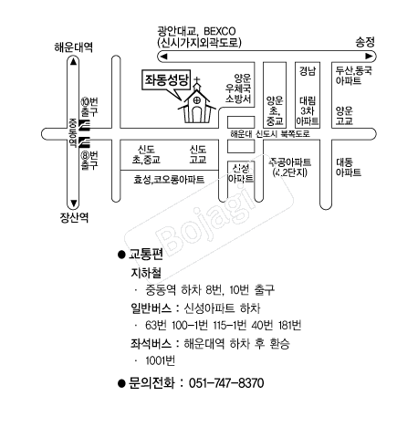 �µ������ؿ�� �൵ ���ڱ� ī�� ûø�� 