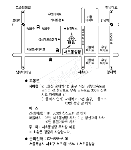 ���ʵ����� �൵ ���ڱ� ī�� ûø�� 