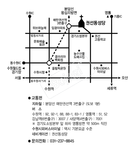 �Ǽ������� �൵ ���ڱ� ī�� ûø�� 