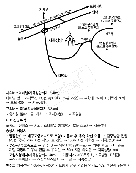 ����� �൵ ���ڱ� ī�� ûø�� 