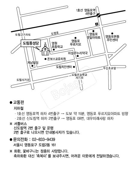 õ�ֱ����������� �൵ ���ڱ� ī�� ûø�� 