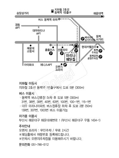 ������Ȧ �൵ ���ڱ� ī�� ûø�� 