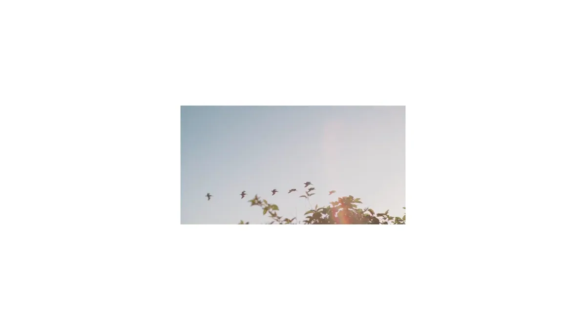 花樣年華 ː 화양연화 마지막 장면