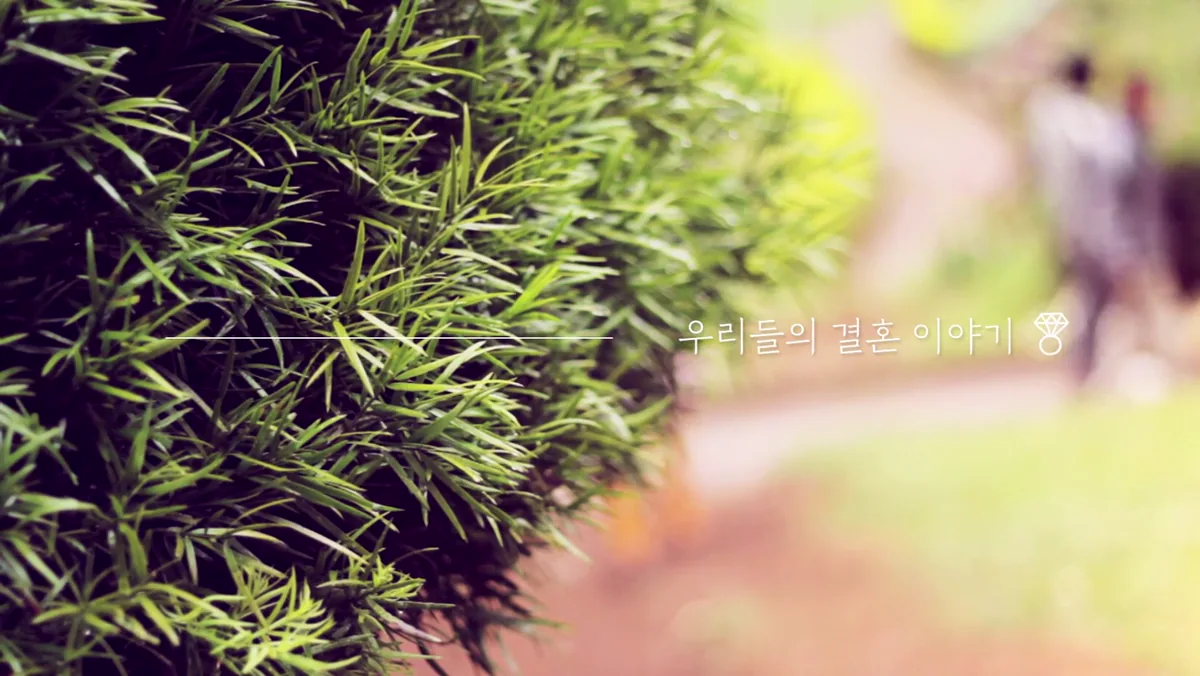 멜로망스 영상 대표 장면